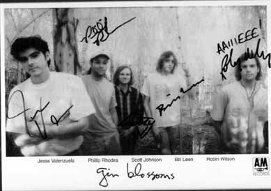 GIN BLOSSOMS